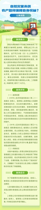 自然災(zāi)害來(lái)襲，農(nóng)戶(hù)如何保障自身權(quán)益？